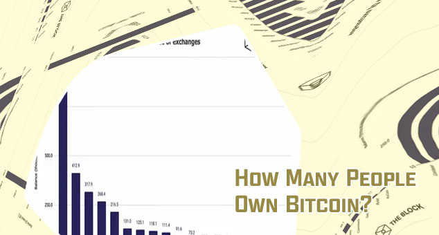 Biggest bitcoin holders