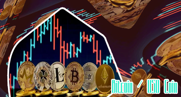 Bitcoin usd