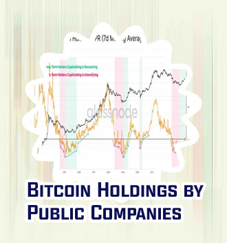 Highest bitcoin holder